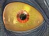 Click image for larger version

Name:	new abe eye.jpg
Views:	719
Size:	80.7 
ID:	14569