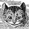 The Cheshire Cat's Avatar